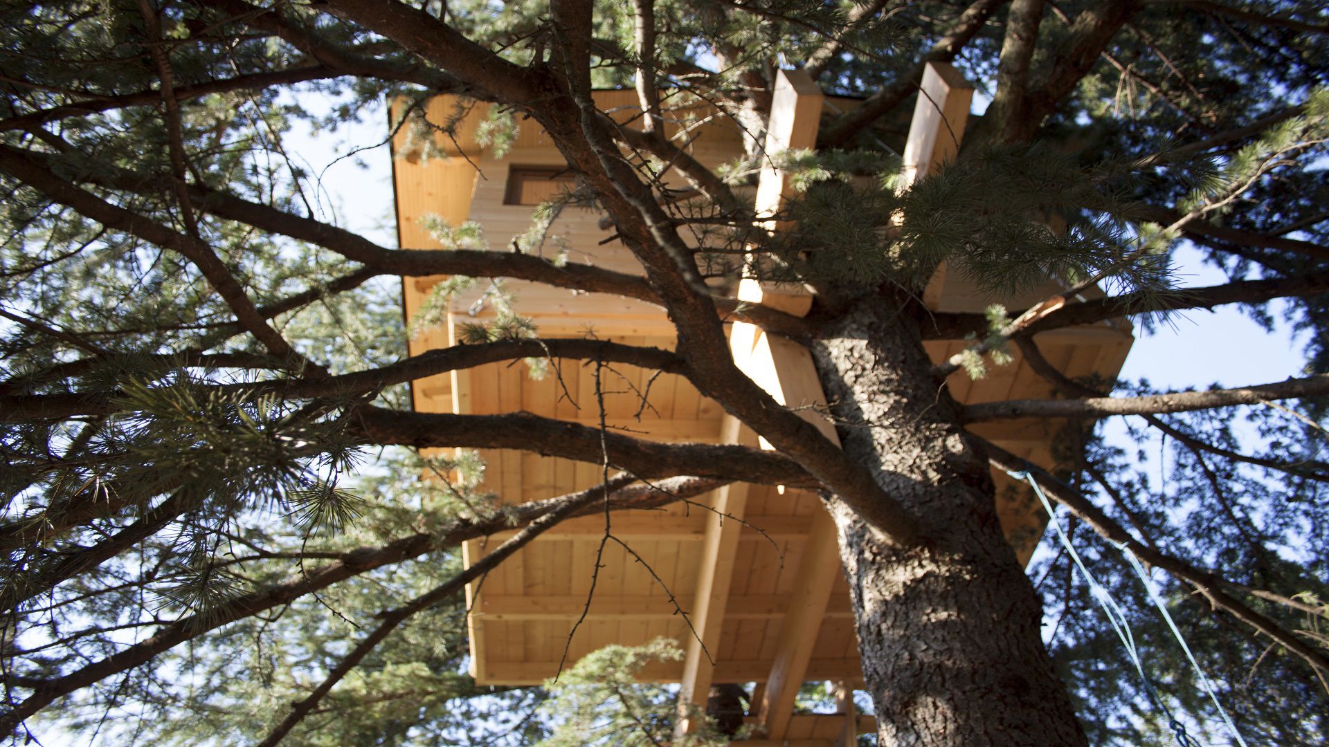 casa sull'albero a trezzolano